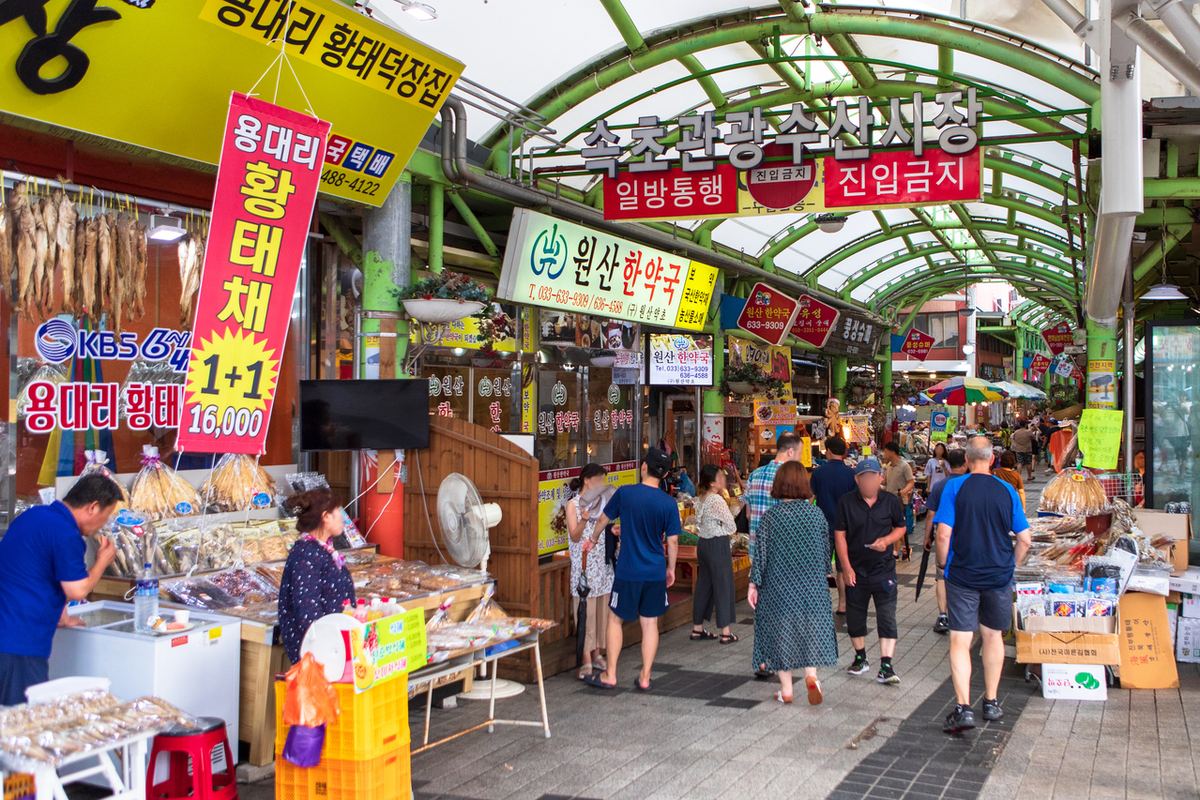 속초 관광수산시장